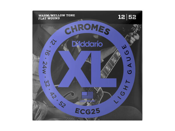 D'Addario ECG25 ダダリオ エレキギター弦 フラットワウンド ライト