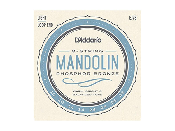 D'Addario EJ73 Mandolin Phosphor Bronze Light 10-38 ダダリオ マンドリン弦