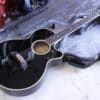 Takamine NPT-110