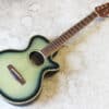 【中古】JIM HARLEY SF-600 ミニエレアコ