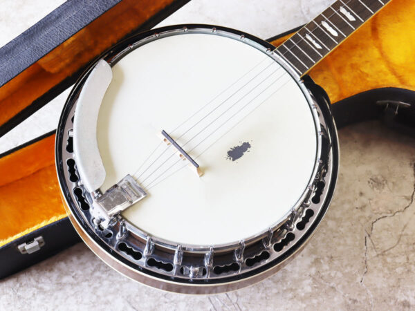 中古】Tenesy Jagard Standard Banjo 5弦バンジョー【販売完了