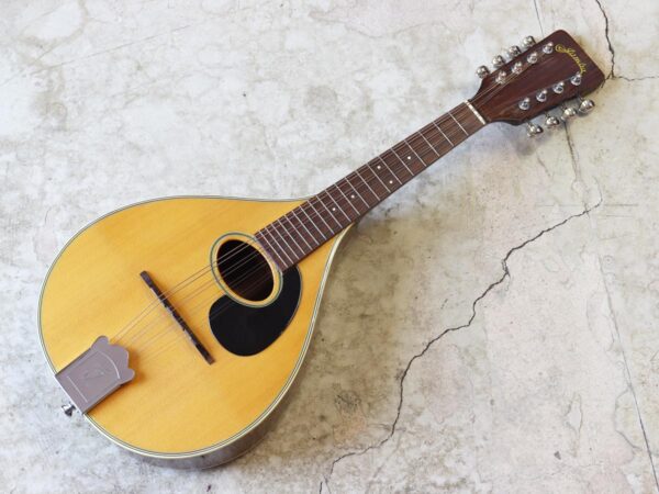 Jumbo flat mandolin