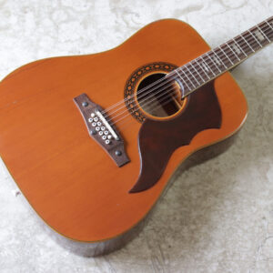 中古】EKO Ranger12 12弦ギター 1960年代製【販売完了】 - 神奈川県の ...
