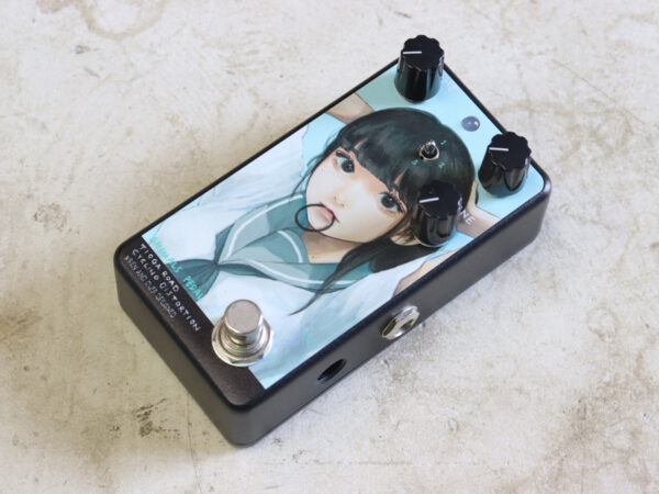 【中古・美品】Animals Pedal Custom Illustrated 035 Tioga Road 