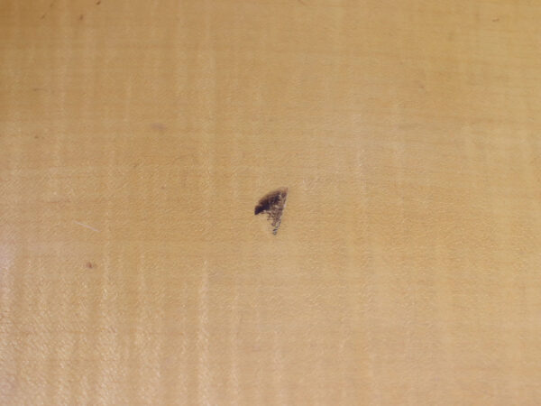 【中古】Greco ES-175タイプ 70年代製 - 画像 (11)