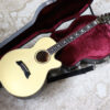 【中古】Takamine PT0110 エレアコ ゴールド
