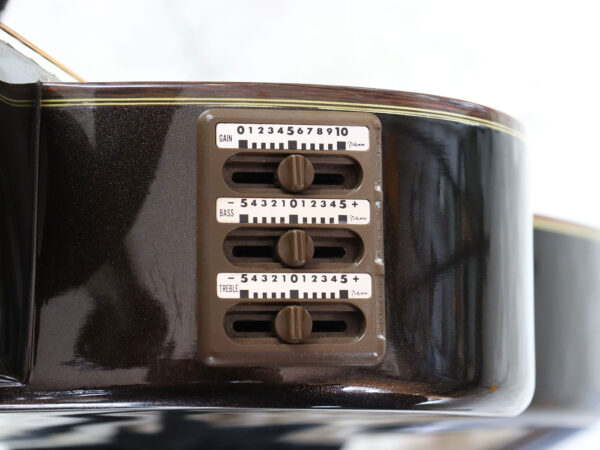 【中古】Takamine PT0110 エレアコ ゴールド - 画像 (9)