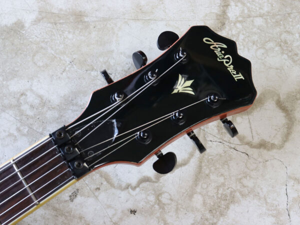 【中古】Aria Pro II TA-65K MPK セミアコースティックギター - 画像 (5)