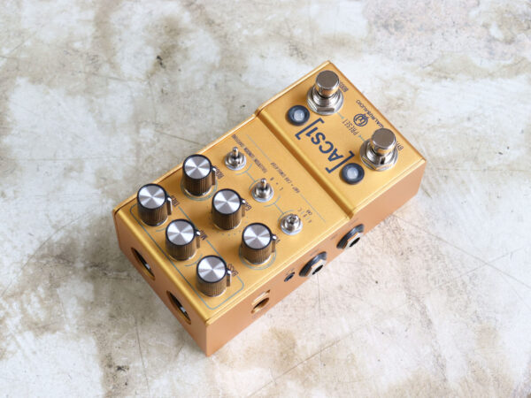 【中古・新品同様】Walrus Audio ACS1 Amp + Cab Simulator アンプシュミレーター - 画像 (3)