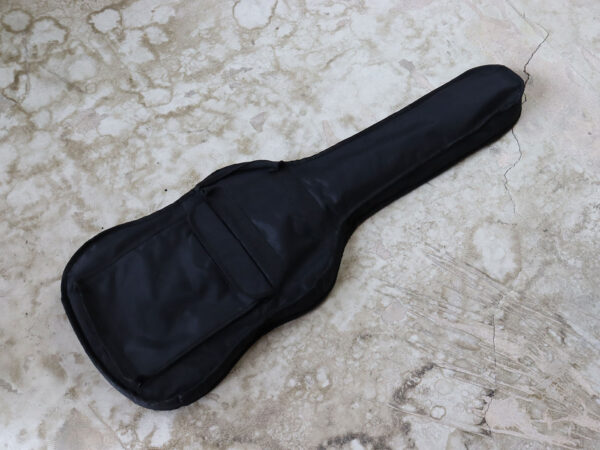【中古】Bacchus Universe Series BTE-1-RSM/M 3TS テレキャスター - 画像 (7)