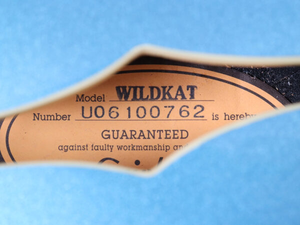 【中古】Epiphone WildKat セミアコ メタリックブルー - 画像 (7)