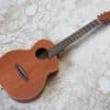 【中古】aNueNue Bird M2 ミニアコースティックギター