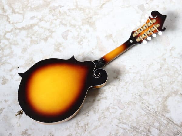 【中古】Playtech フラットマンドリン Fタイプ - 画像 (3)