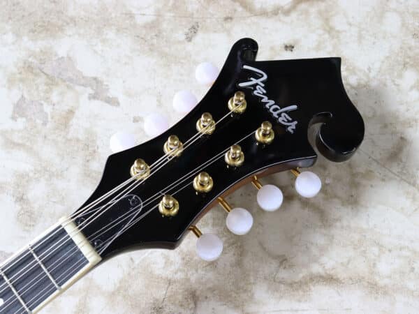 【中古】Playtech フラットマンドリン Fタイプ - 画像 (5)