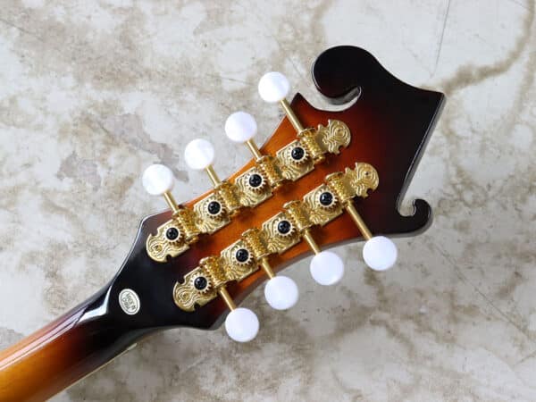 【中古】Playtech フラットマンドリン Fタイプ - 画像 (6)