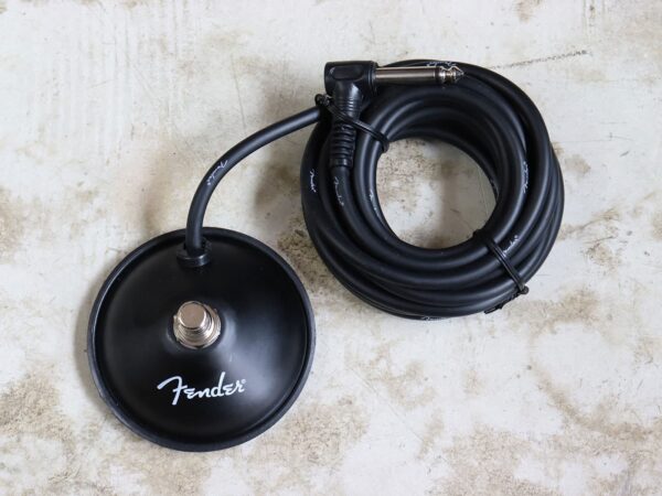 【中古・美品】Roadhouse Amplifiers Shindig 6G2 Princeton ギターコンボアンプ - 画像 (6)
