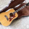 【中古】Alvarez 5024 Dove 1975年製