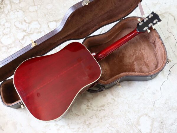 【中古】Alvarez 5024 Dove 1975年製 - 画像 (3)