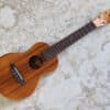 【中古】G String Concert コンサートウクレレ