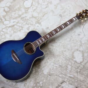 【中古】YAMAHA APX900UM