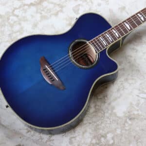 Alternative view of 【中古】YAMAHA APX900UM