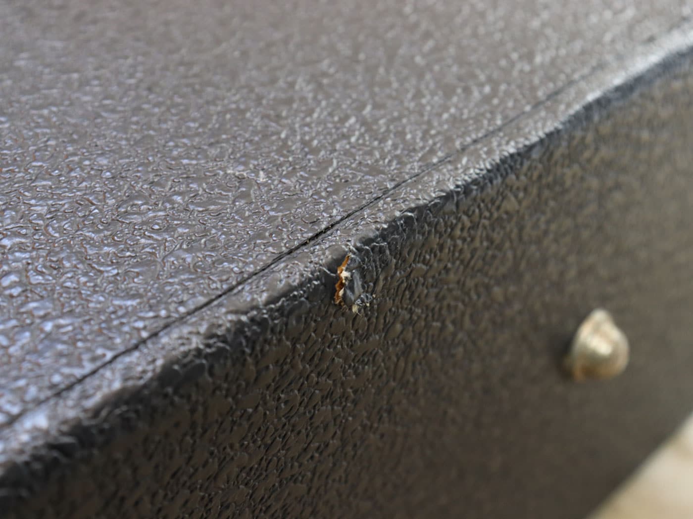 【中古】Epiphone アコギ用ハードケース ドレッドノートサイズ - 画像 (6)