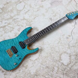 【中古】Bacchus GLOBAL Series IKEBE ORIGINAL HGD-CUSTOM24/MG エレキギター