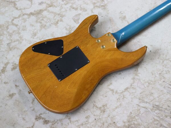中古】Bacchus GLOBAL Series IKEBE ORIGINAL HGD-CUSTOM24/MG エレキ 