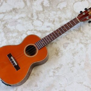 【中古】Suzuki Violin エレレレ型番不明 テナーサイズ