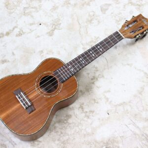 【中古・ジャンク】Aostin AC100 コンサートウクレレ
