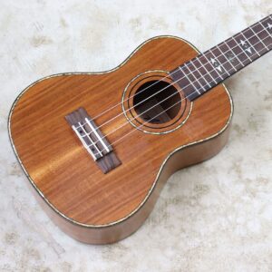 Alternative view of 【中古・ジャンク】Aostin AC100 コンサートウクレレ