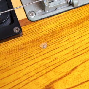 【中古】Aria Pro II TS-500 - 画像 (8)
