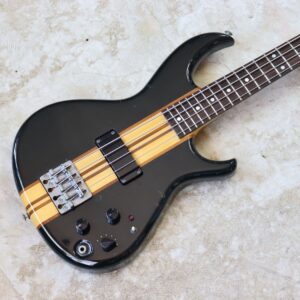 Alternative view of 【中古・現状渡し】Aria Pro II SB-1000