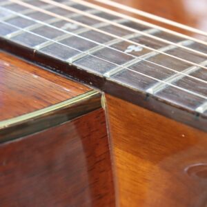 【中古・難あり】Takamine PT406 - 画像 (10)