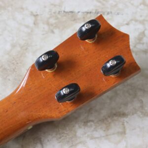 【中古】CENIZA BY T&K コンサートロングネックサイズ - 画像 (6)