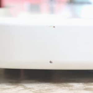 【中古】PLAYTECH JB420 White ジャズベースタイプ - 画像 (11)