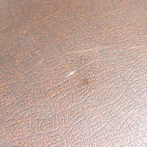 【中古】Morris Tornado 向けハードケース - 画像 (4)