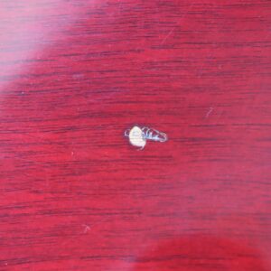 【中古】Greco SS-500 1979年製 - 画像 (8)