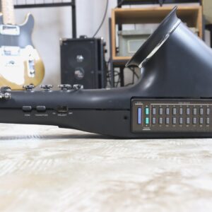 【中古・ジャンク】CASIO DH-800 デジタルホーン - 画像 (5)