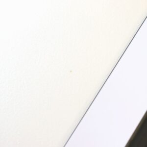 【中古】Edwards E-SYUNAPPER-7 7弦ギター - 画像 (9)