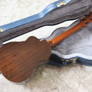 【中古】aNueNue aNN-UT200 Moon Bird Ukulele Tenor テナーウクレレ - 画像 (3)